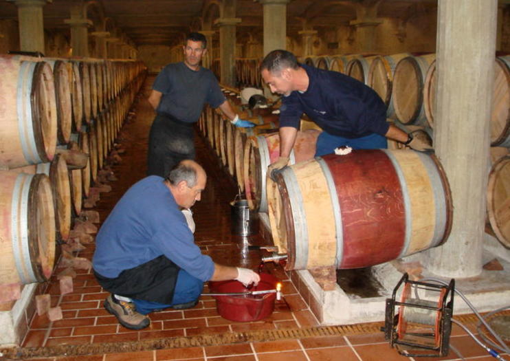 Wine Tasting in Bordeaux 2020 Travel Tours, Trips